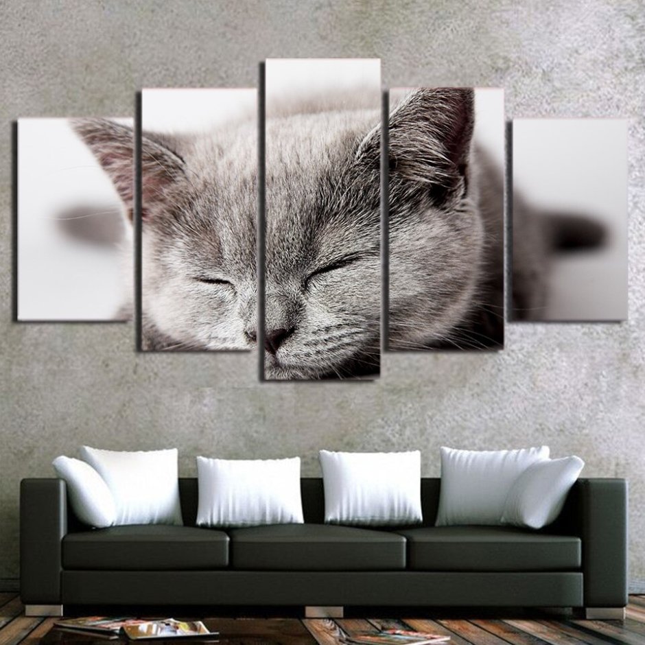Фотообои с кошками на стену (71 фото)