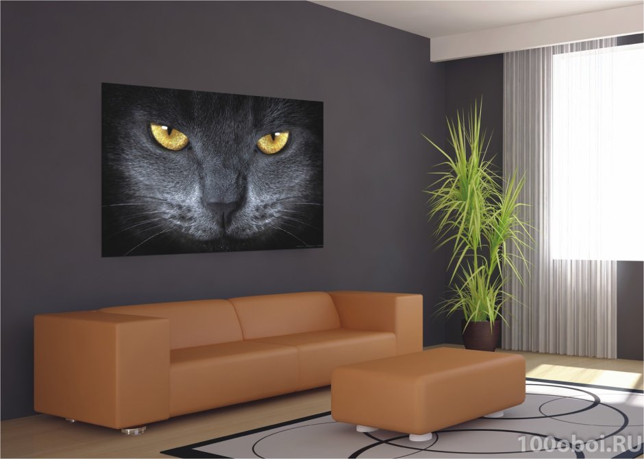 Постеры кошки для интерьера
