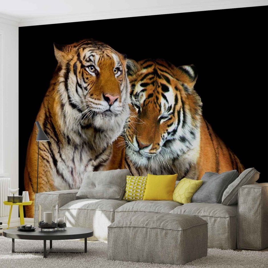 Фотообои с белым тигром на стену