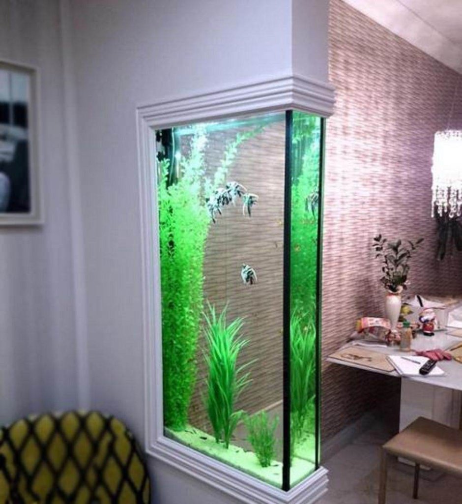 Красивый аквариум встроенный в стену