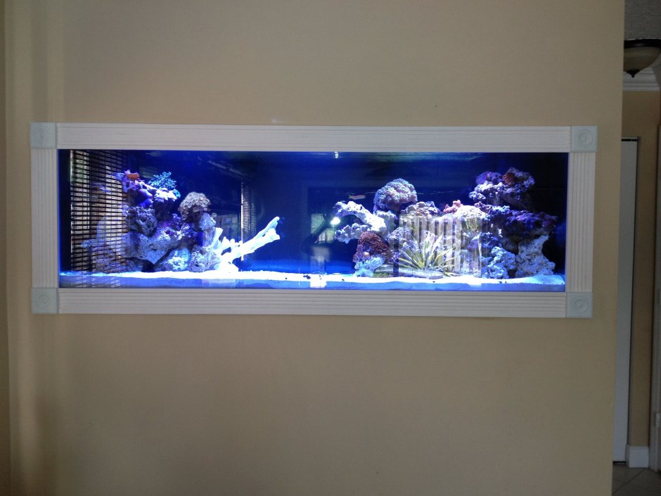 Встроенный искусственный аквариум в стену