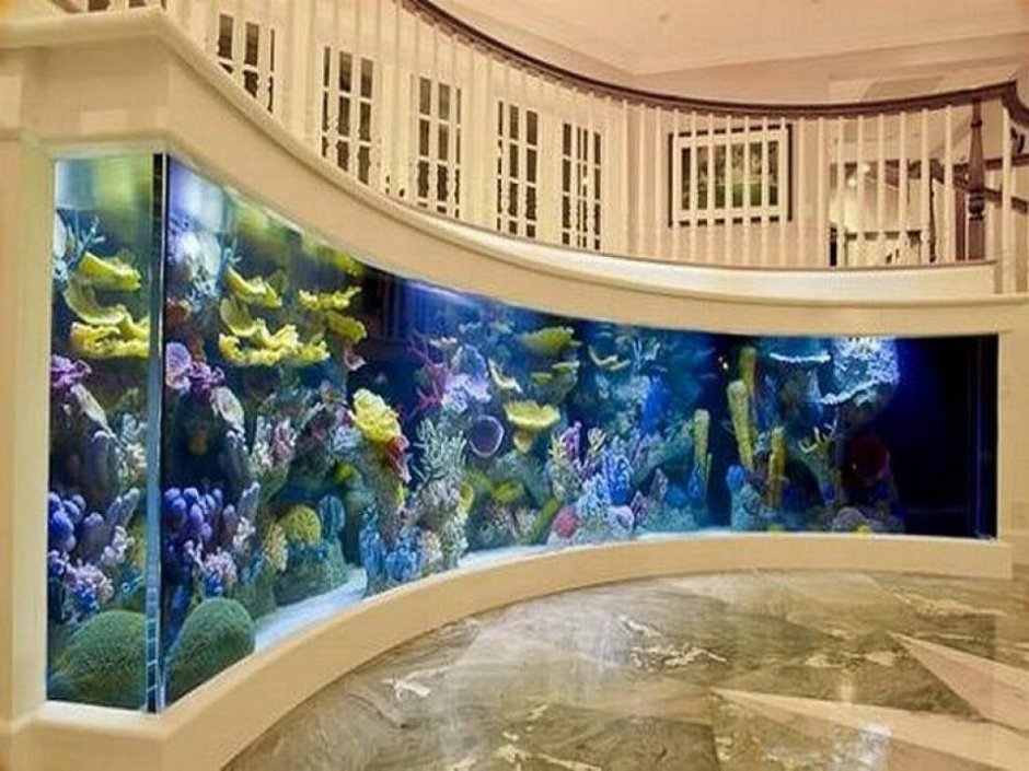 Встроенные аквариумы в интерьере