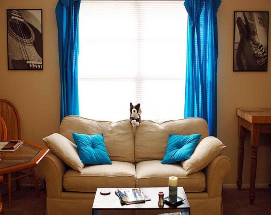 Дизайн комнаты с синим диваном и акцентной стеной