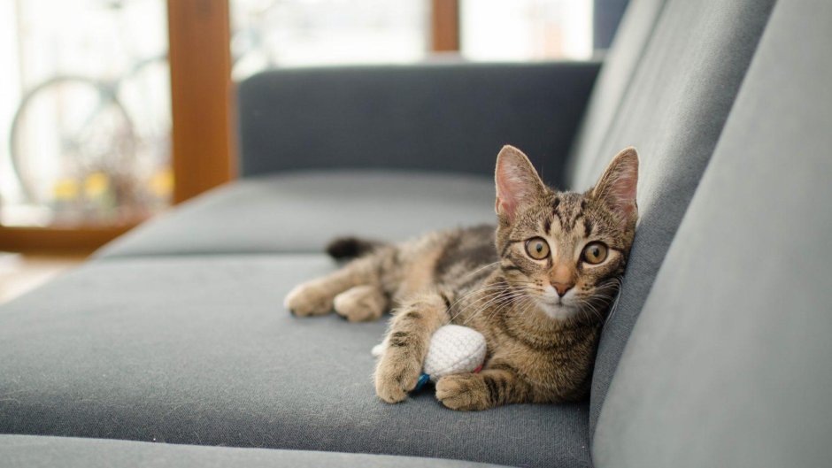 Вязаный диван для кошек