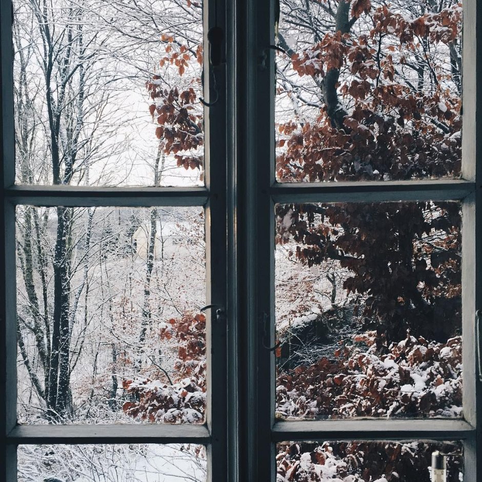 Зима из окна