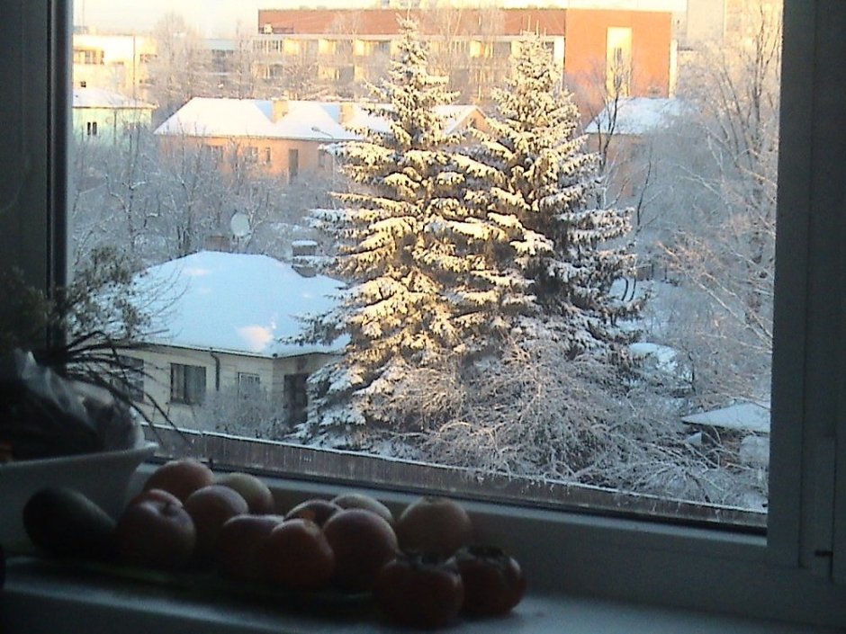 Зимнее утро из окна