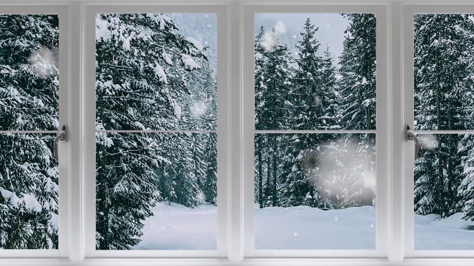 Зимний лес из окна