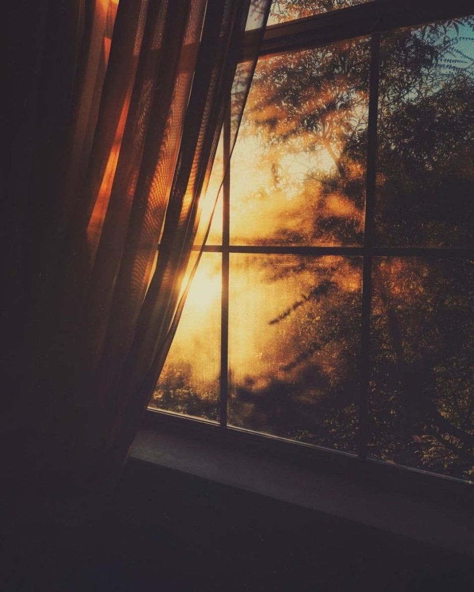 Солнечные лучи в окне