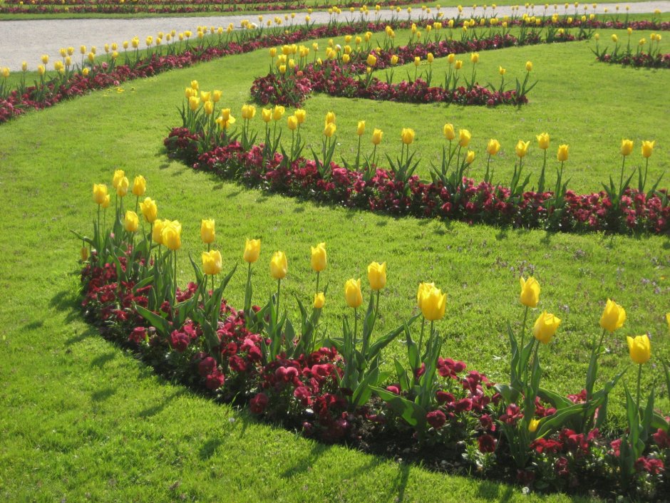 Тюльпаны крокусы гиацинты