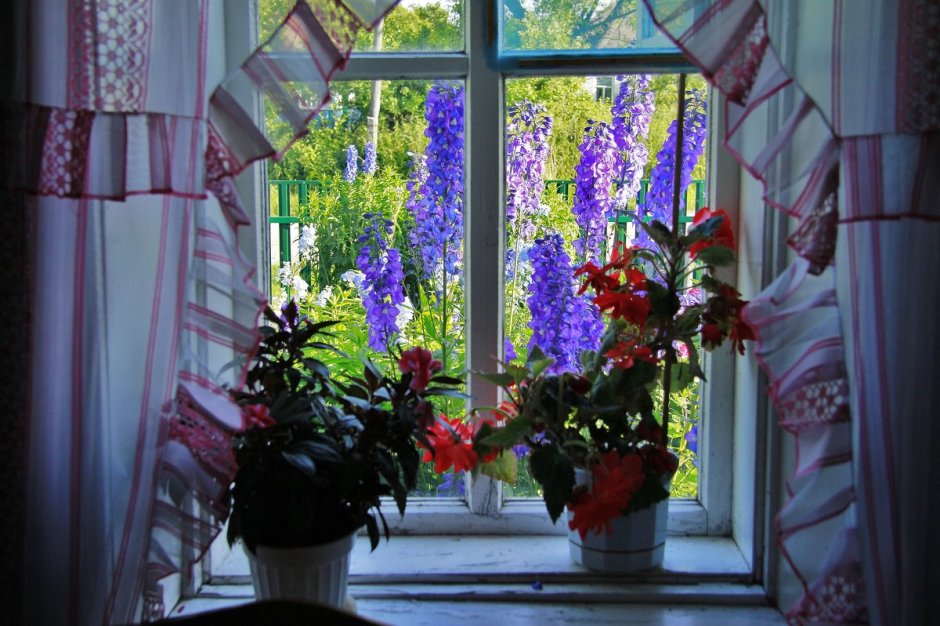 Цветочный сад на окне