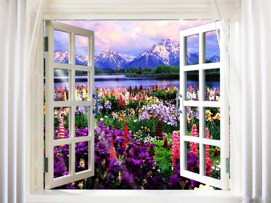 Фотообои вид из окна на сад