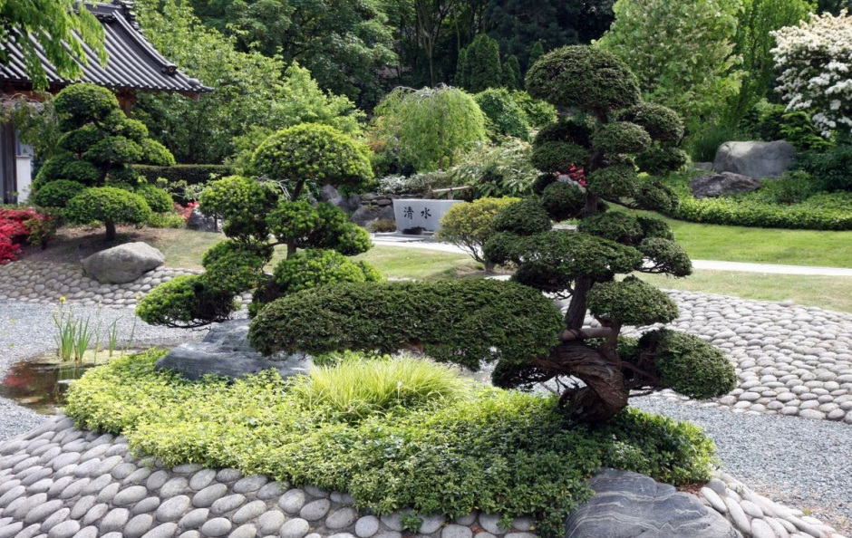 Ниваки в японском саду