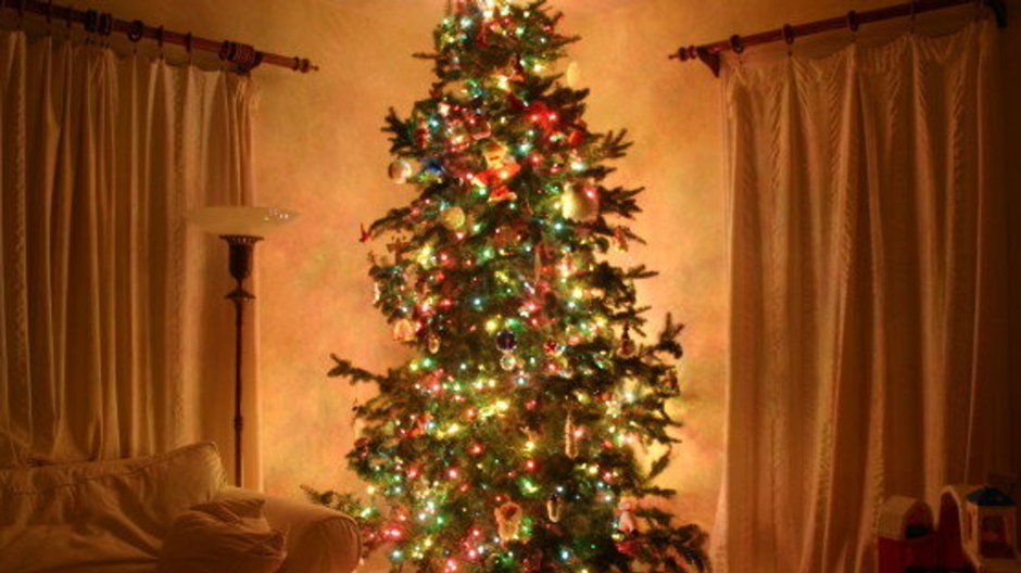 Новогодняя елка в доме