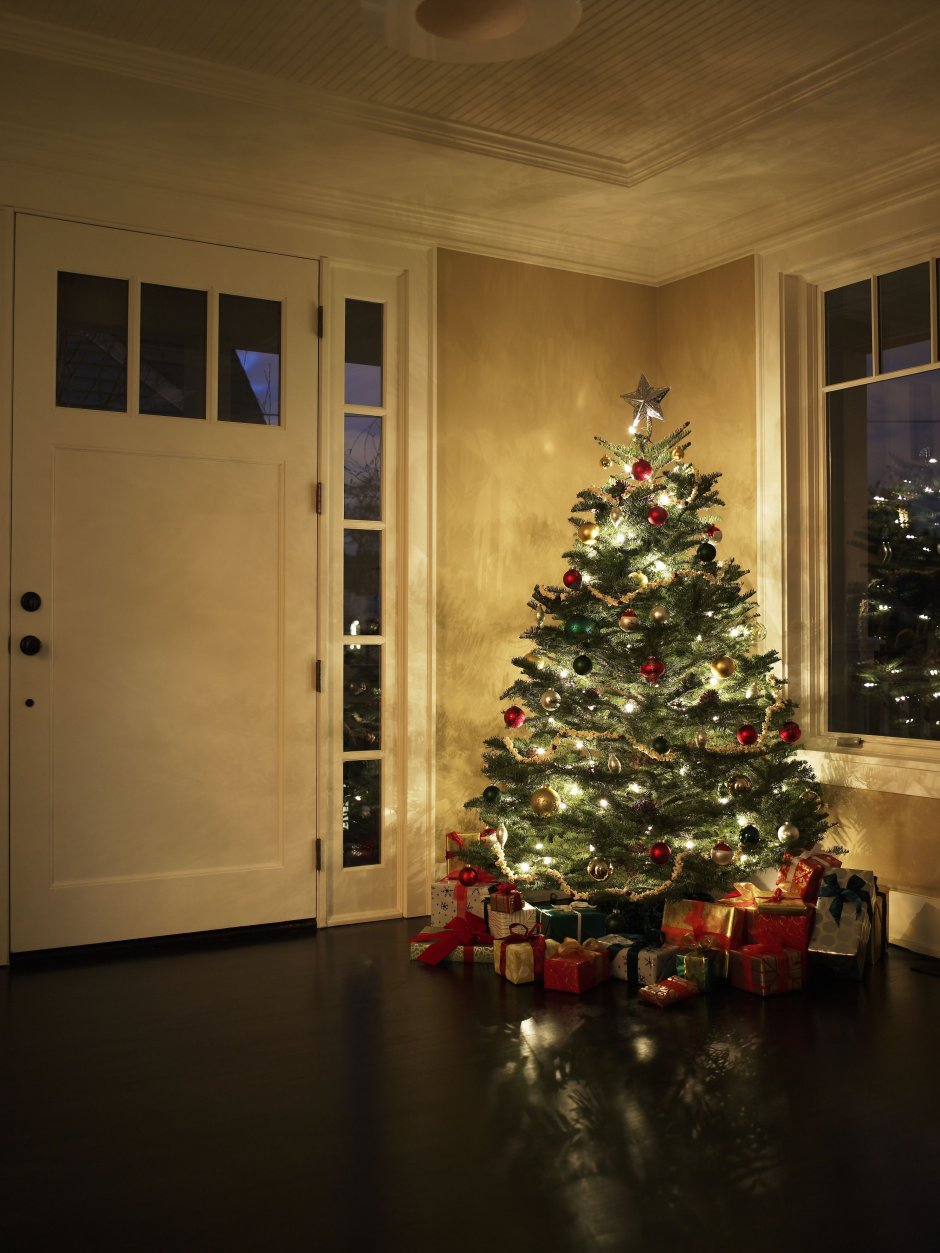 Новогодняя елка в комнате