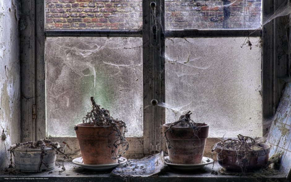 Старые ставни на окна