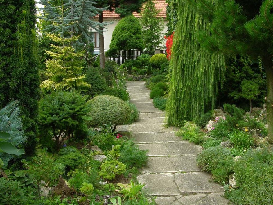 Хвойные сады Чехии частные