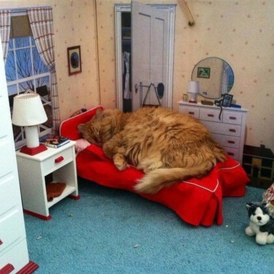 Коты в интерьере квартиры