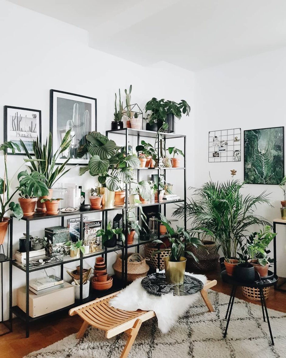Уютная комната с растениями