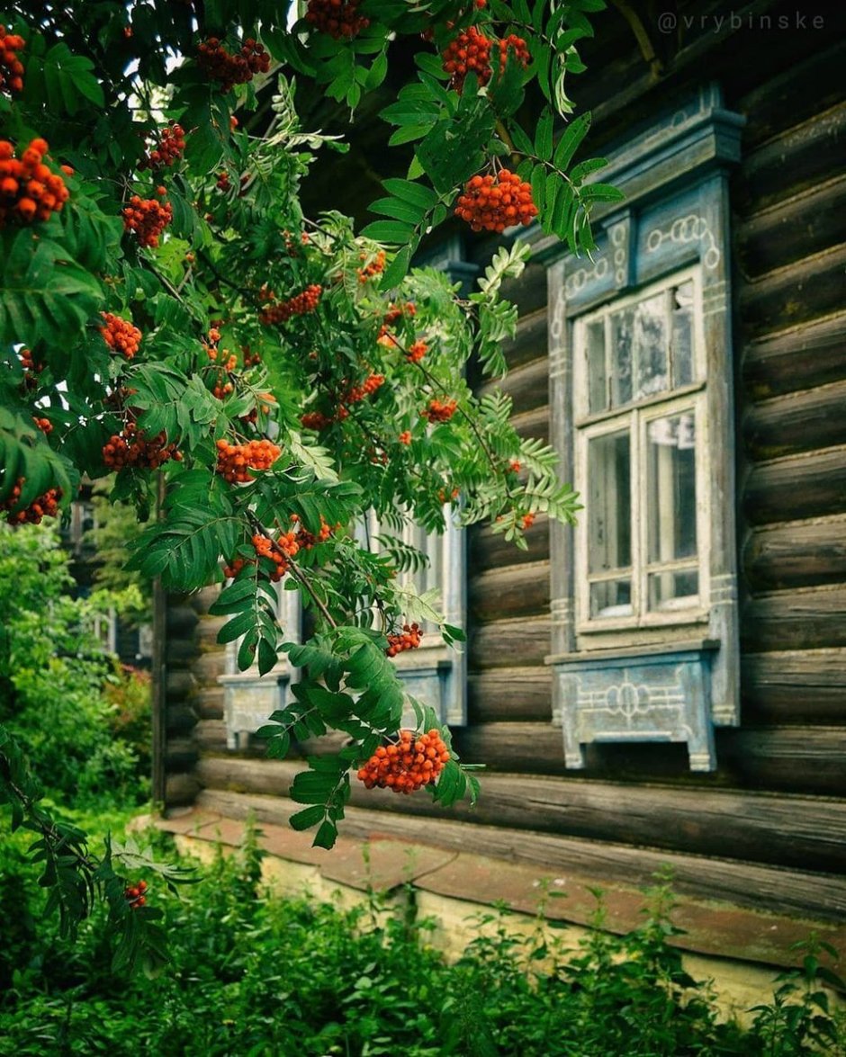 Окно в деревне