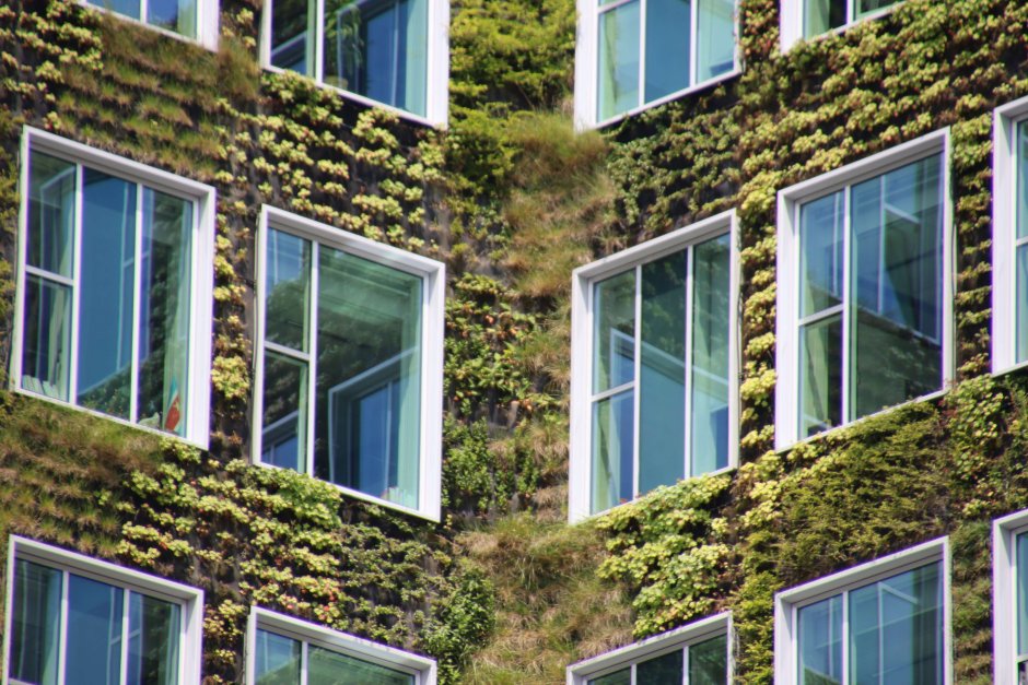 Здание с зелеными окнами