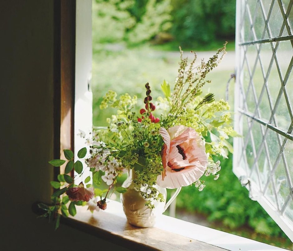 Цветы на открытом окне