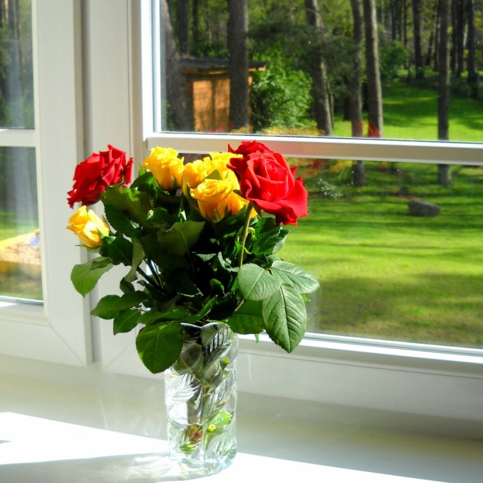 Цветы букет на окне