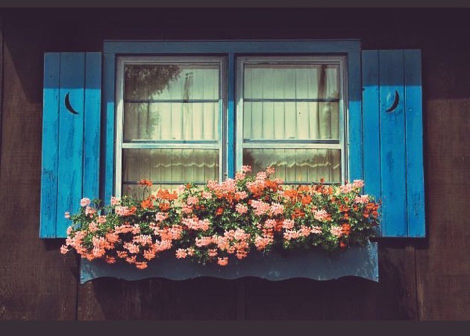 Красивое окно с цветами
