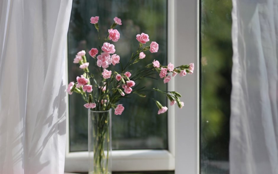 Окно с цветами