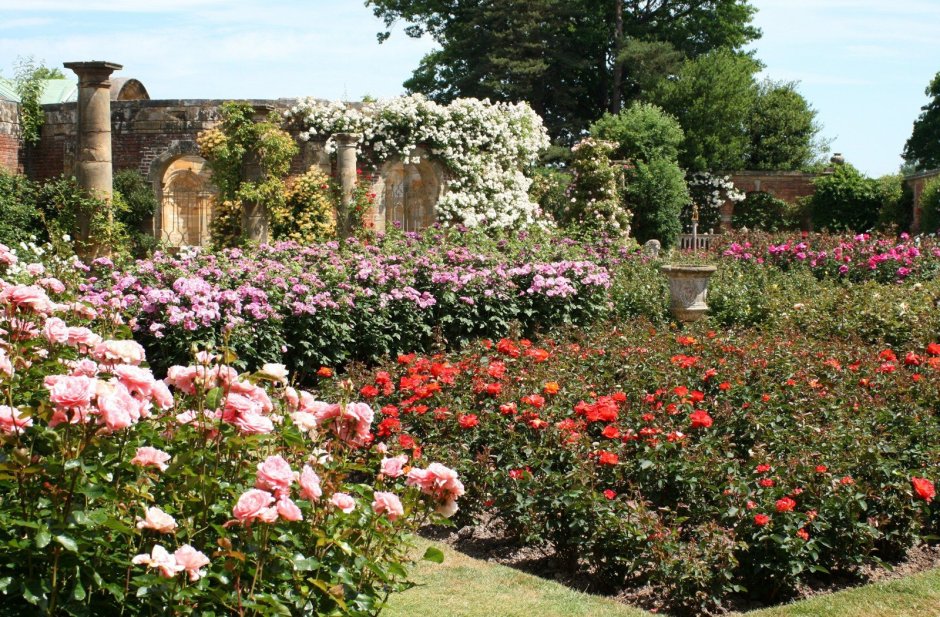 Сады замка Хивер розарий
