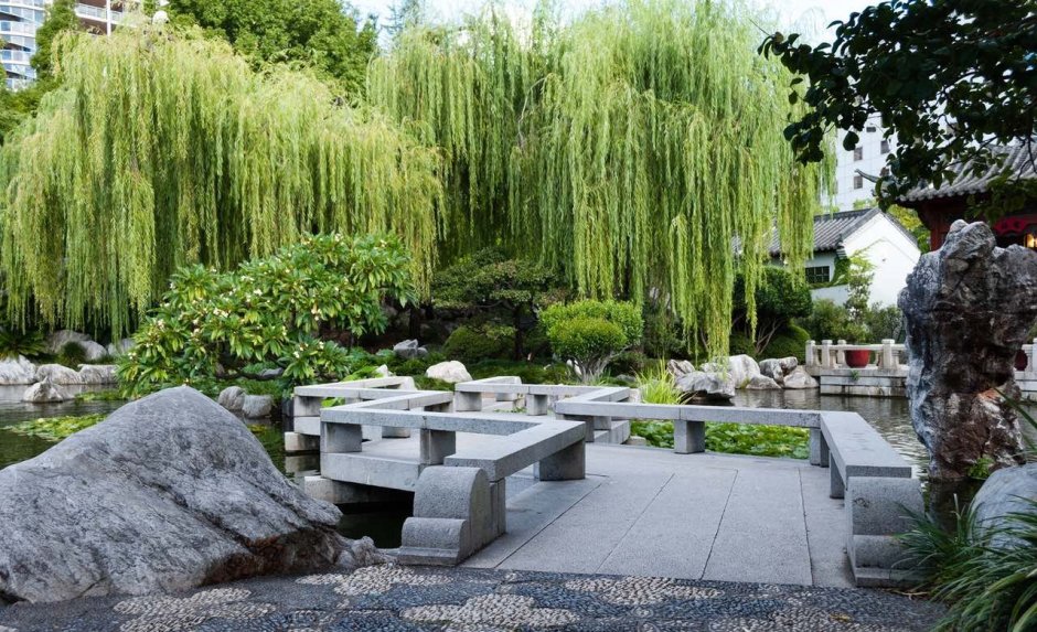 Сад камней Япония плакучая Ива