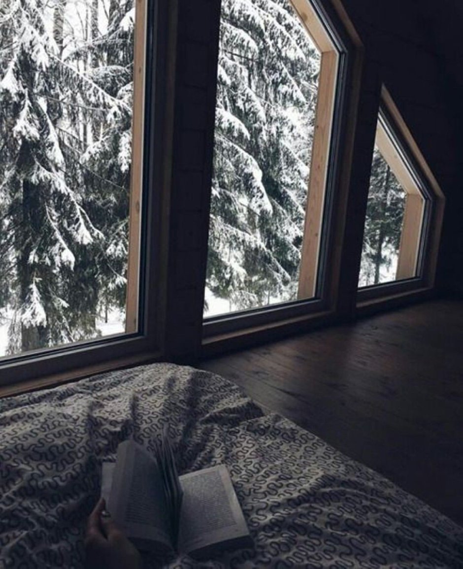 Панорамные окна зима