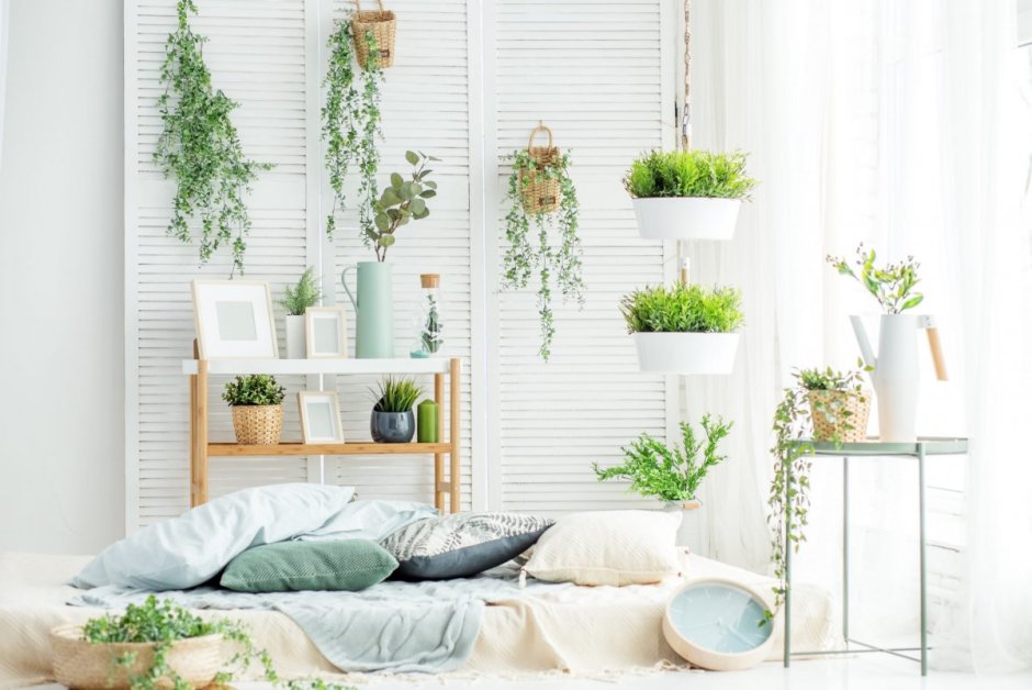 Светлая комната с растениями