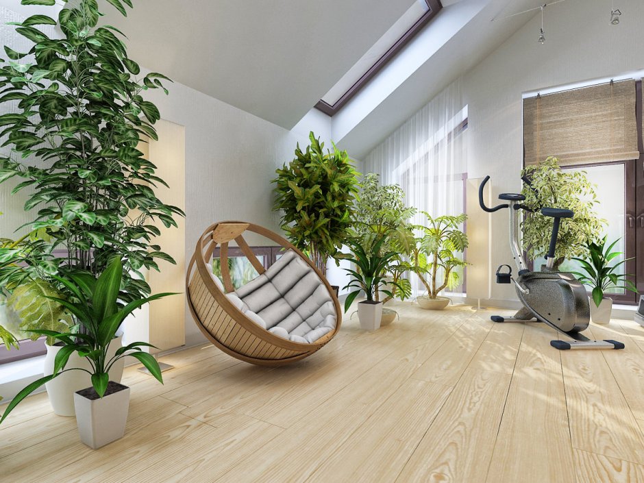 Комнатные растения в интерьере квартиры