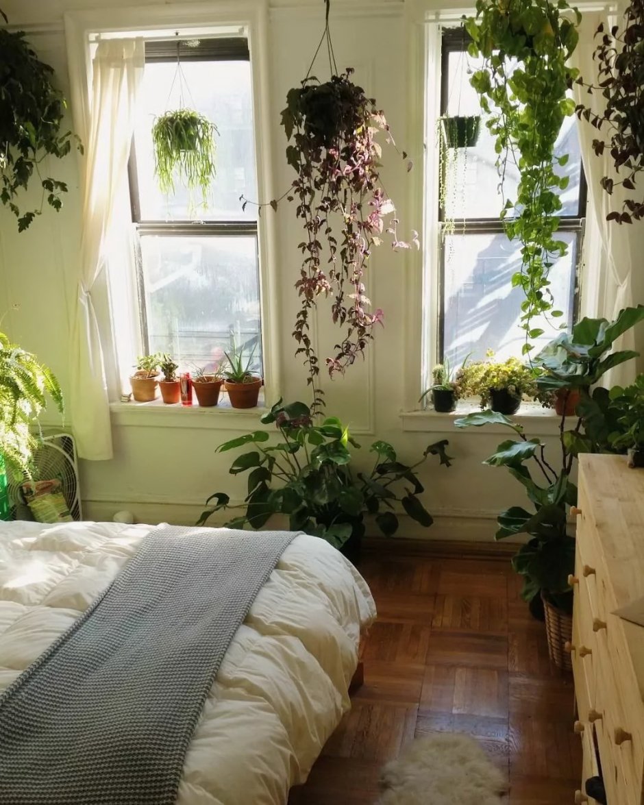Растения в спальне