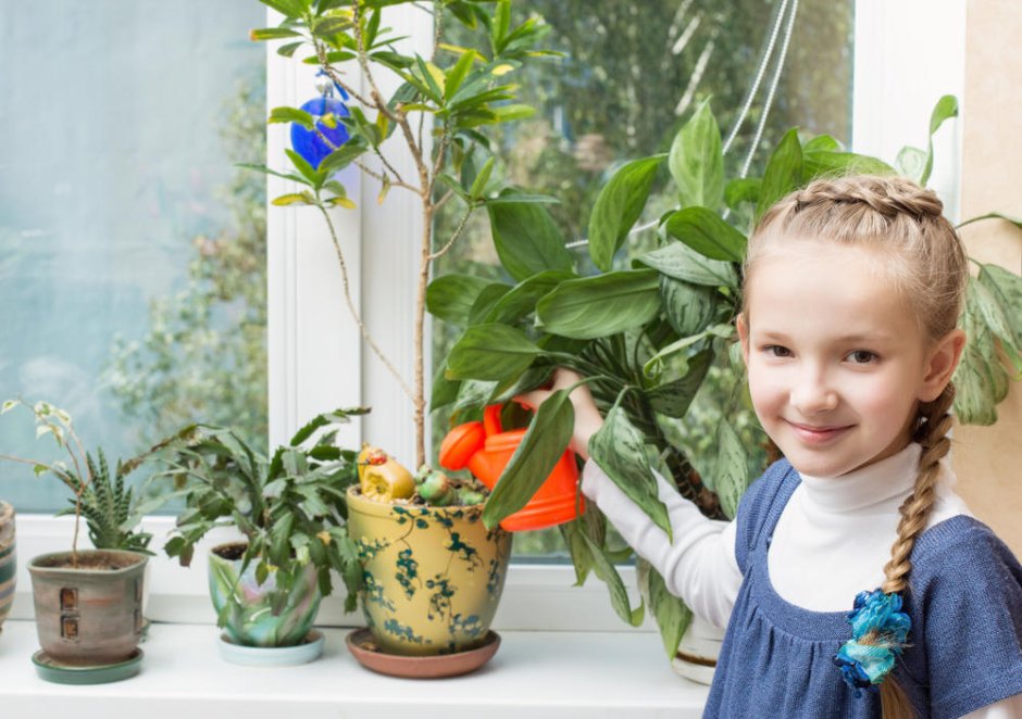 Комнатные растения в детской