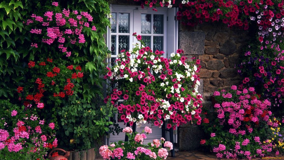 Домик с розами в саду