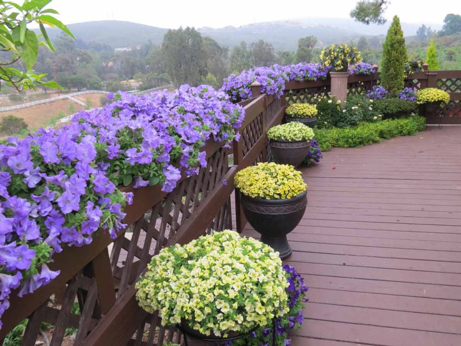 Декоративные вазоны для сада – предназначение, фото, как выбрать фотки