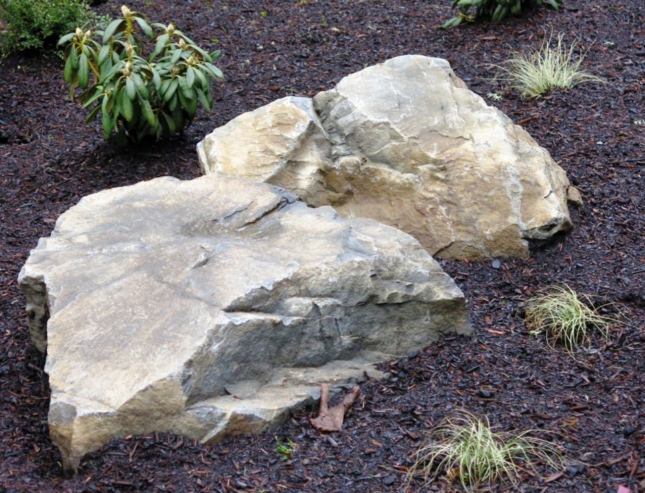 Камни на газоне