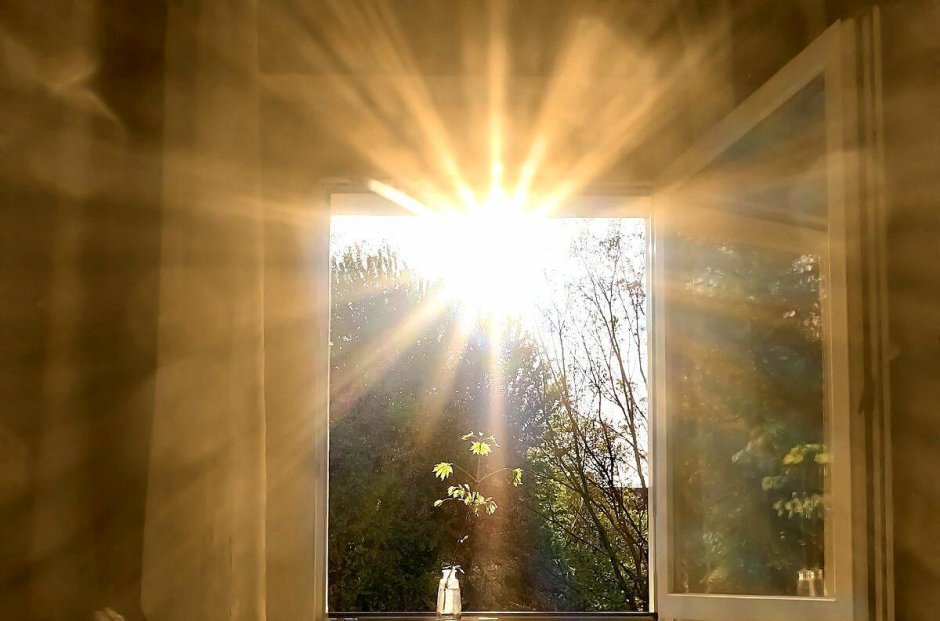 Солнечный свет в окно