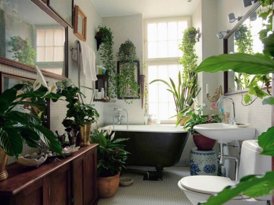 Растения в ванной комнате интерьер