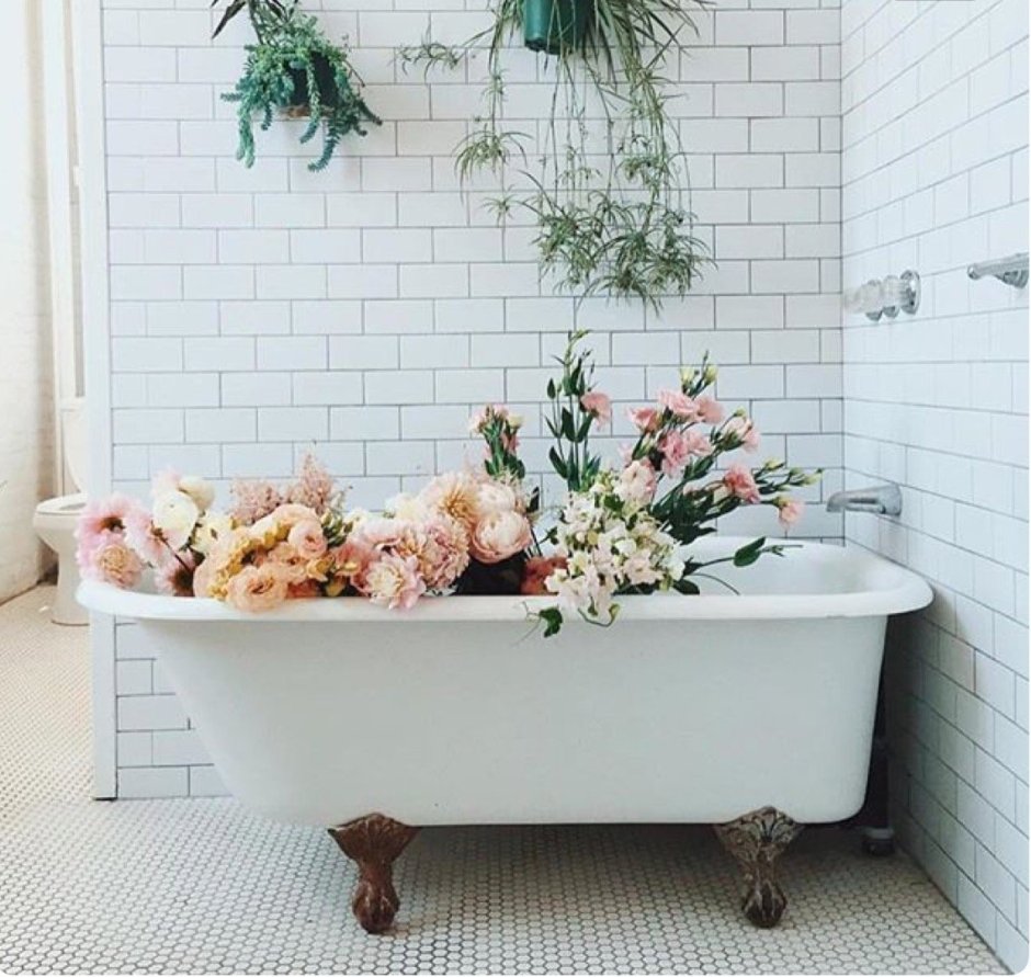 Цветы в ванной комнате для декора