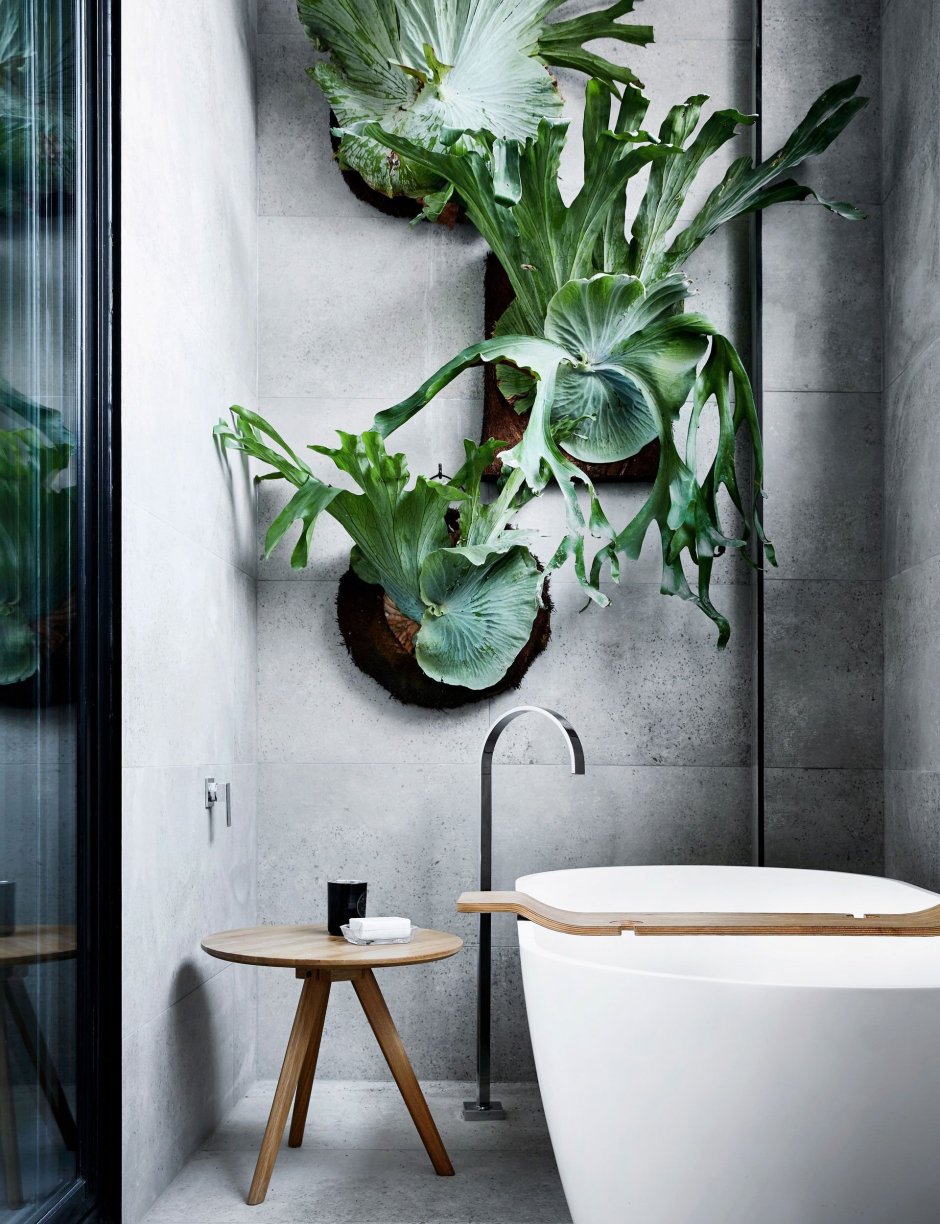 Растения в интерьере ванной