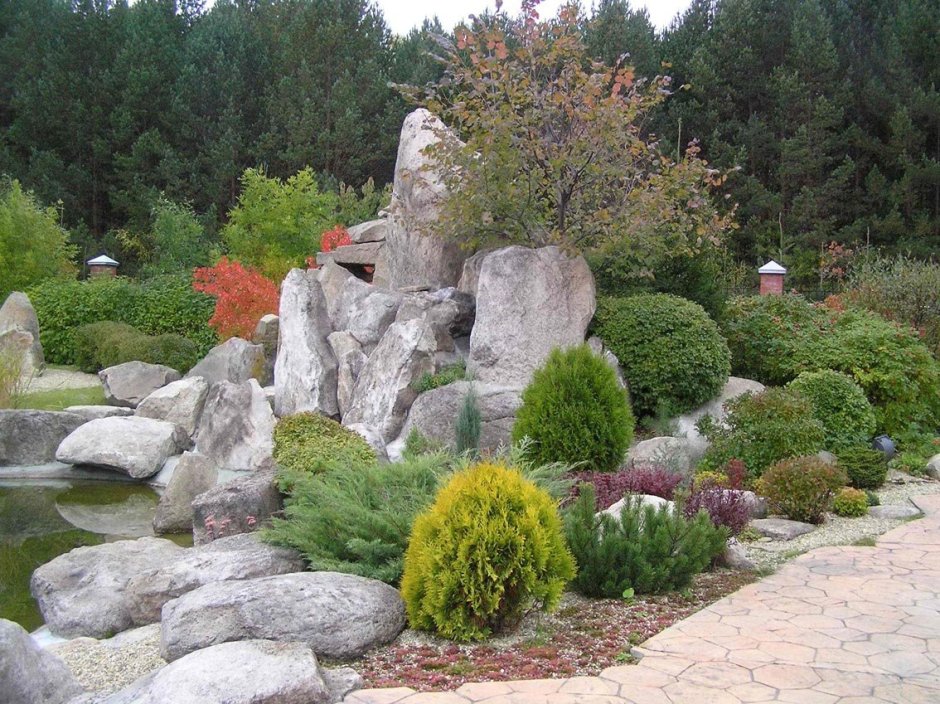 Каменистый сад с хвойниками