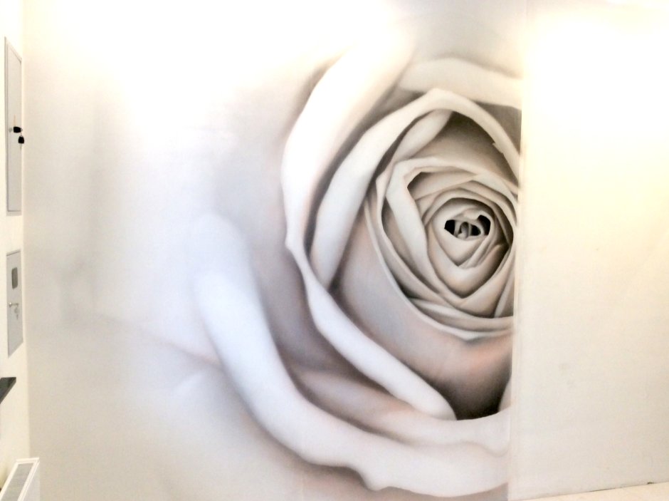 Фотообои серые розы