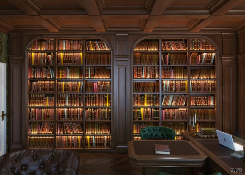 Красивый кабинет с библиотекой