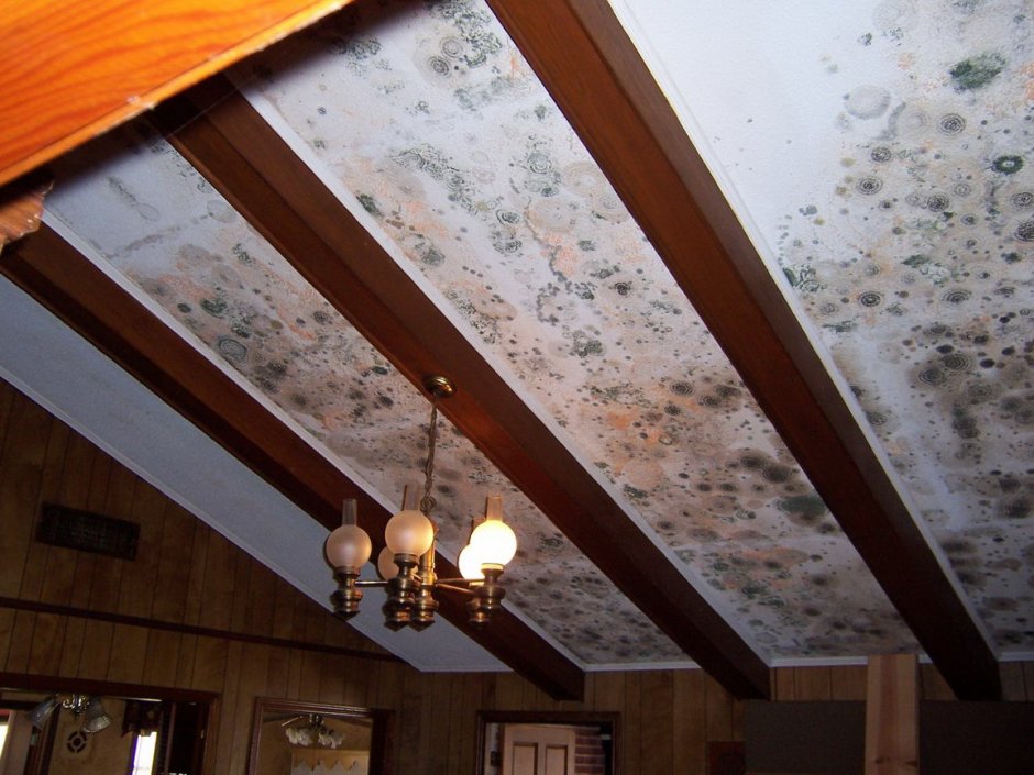 Натяжной потолок с балками
