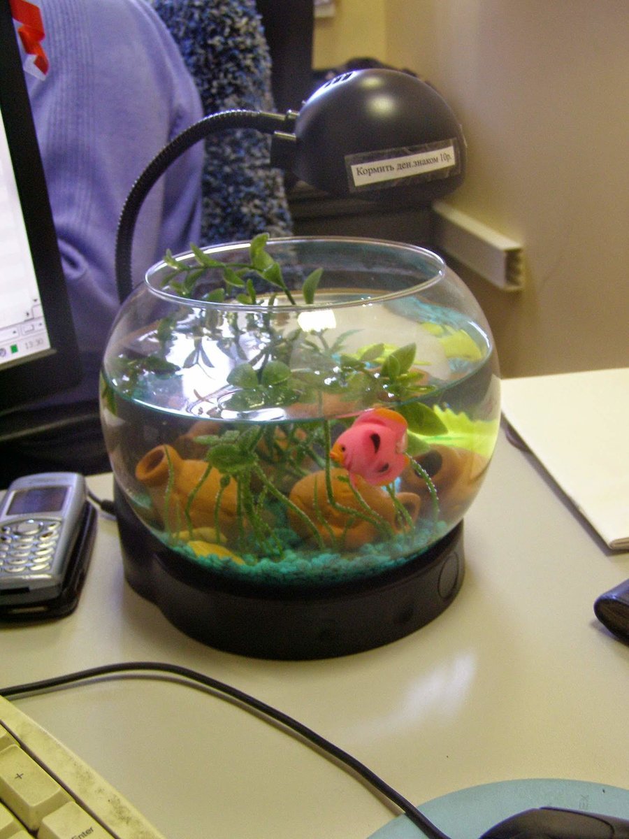 Небольшой аквариум в офисе