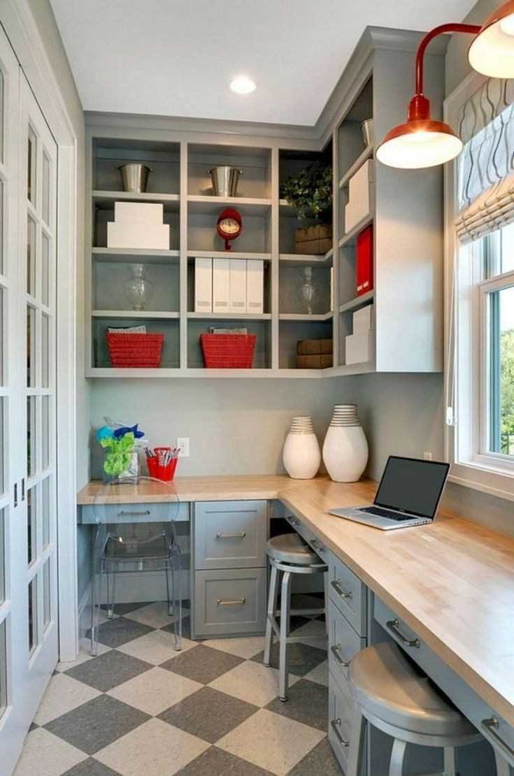 Растения в интерьере