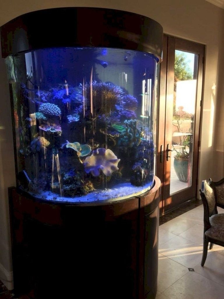 Угловой аквариум в интерьере (63 фото)