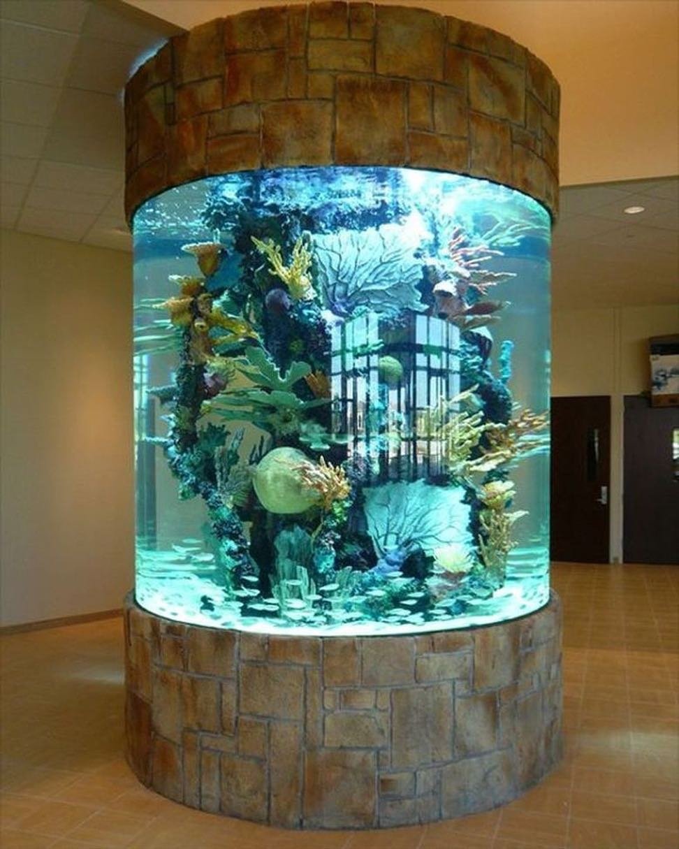 Домашние аквариумы